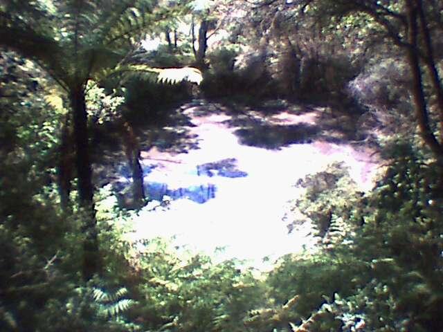 DC00010.jpg