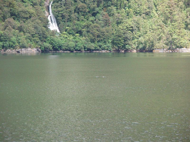 PC190076.JPG