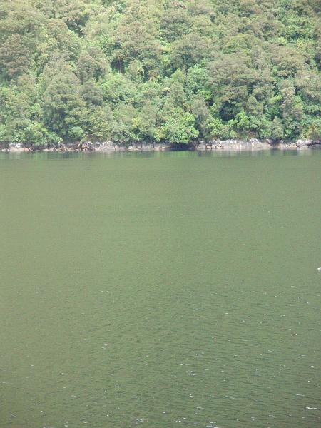 PC190078.JPG