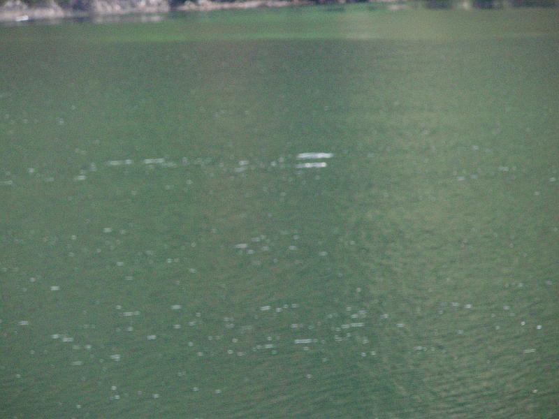 PC190082.JPG
