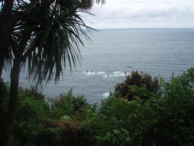PC210260.JPG