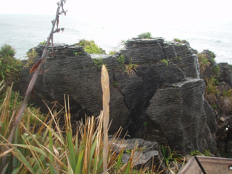 PC220279.JPG