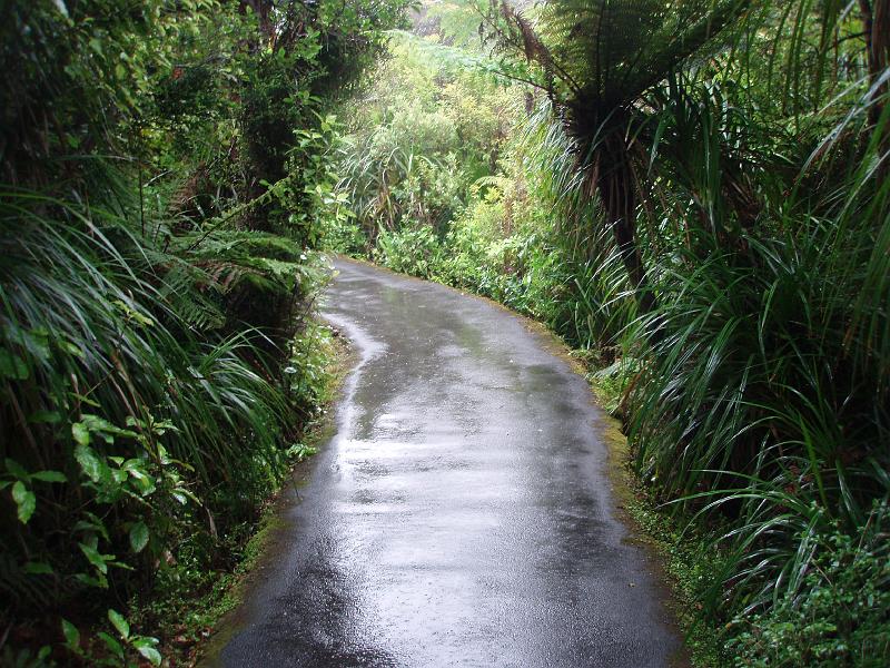 PC220305.JPG