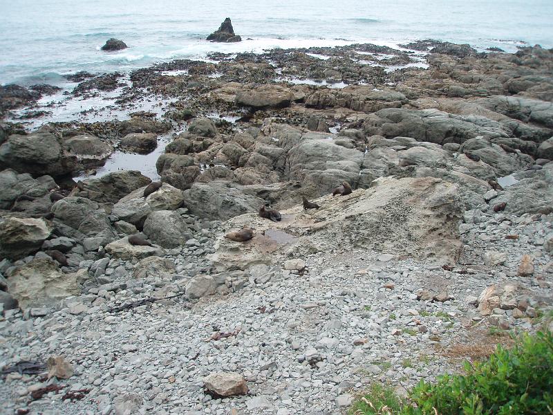 PC270399.JPG