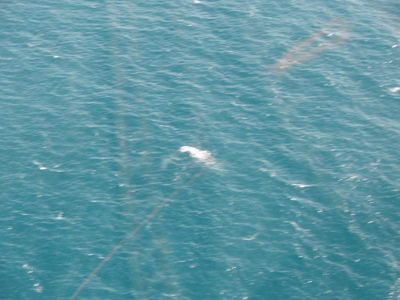 PC270439.JPG