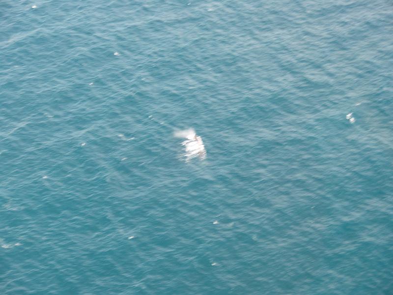 PC270442.JPG