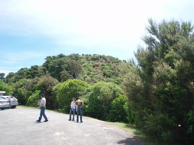 PC290014.JPG