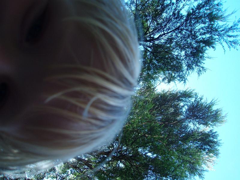 PC290025.JPG