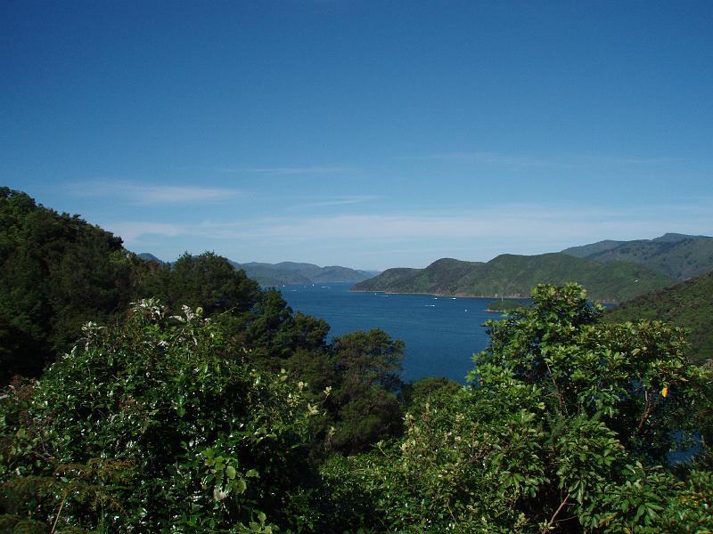 PC290031.JPG