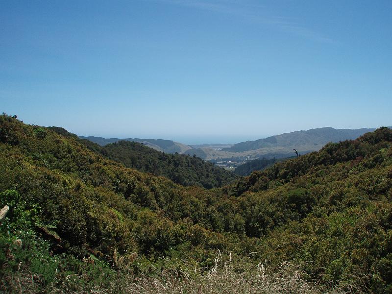 PC310104.JPG