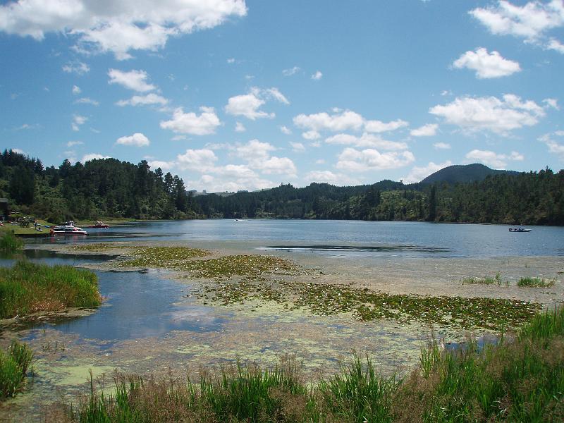 P1010134.JPG