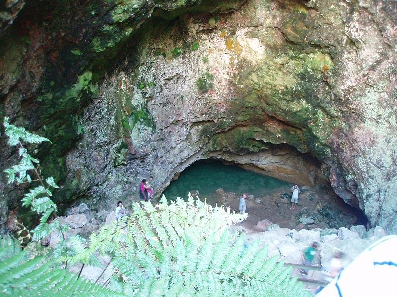 P1010154.JPG
