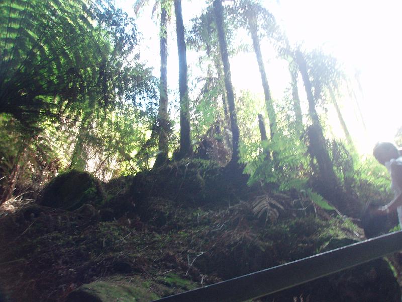 P1010163.JPG