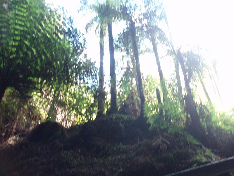 P1010164.JPG