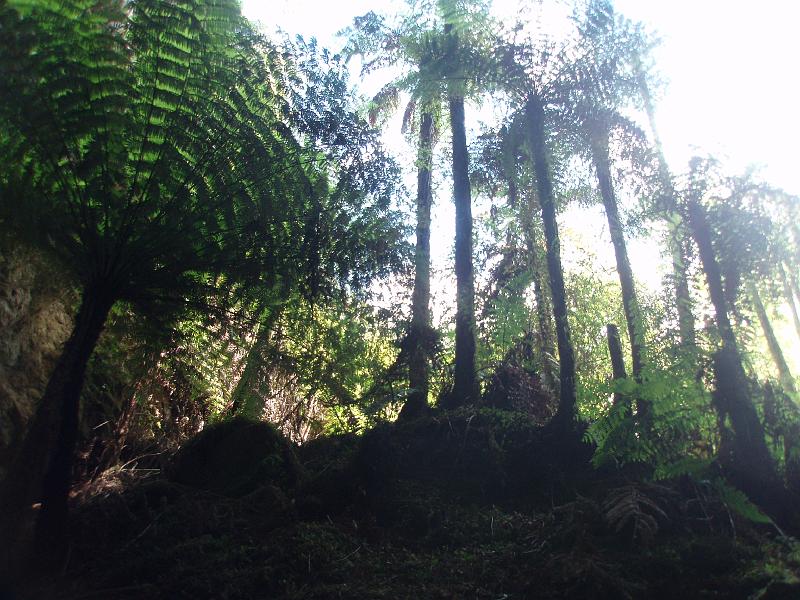 P1010165.JPG
