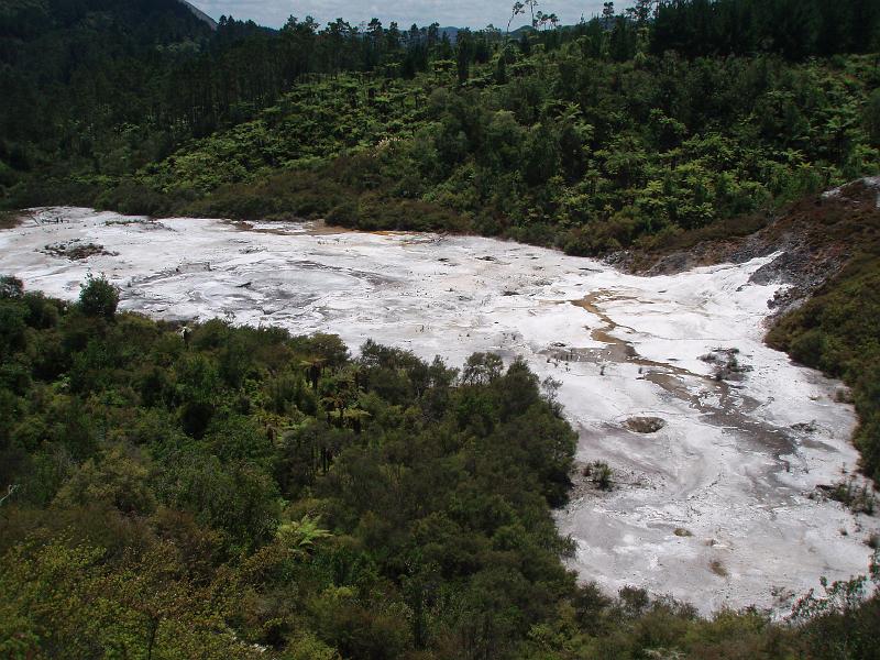 P1010166.JPG