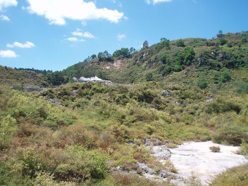 P1020217.JPG