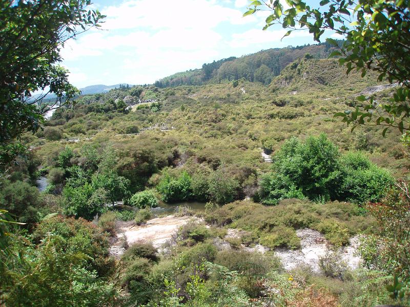 P1020225.JPG