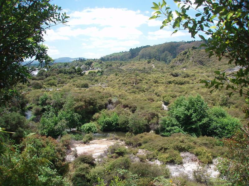 P1020226.JPG