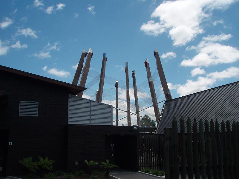 P1020231.JPG