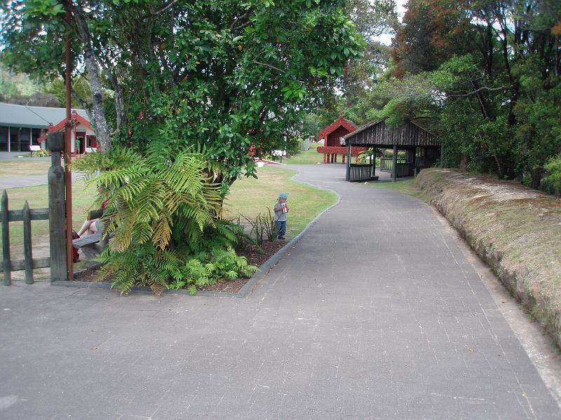 P1020232.JPG