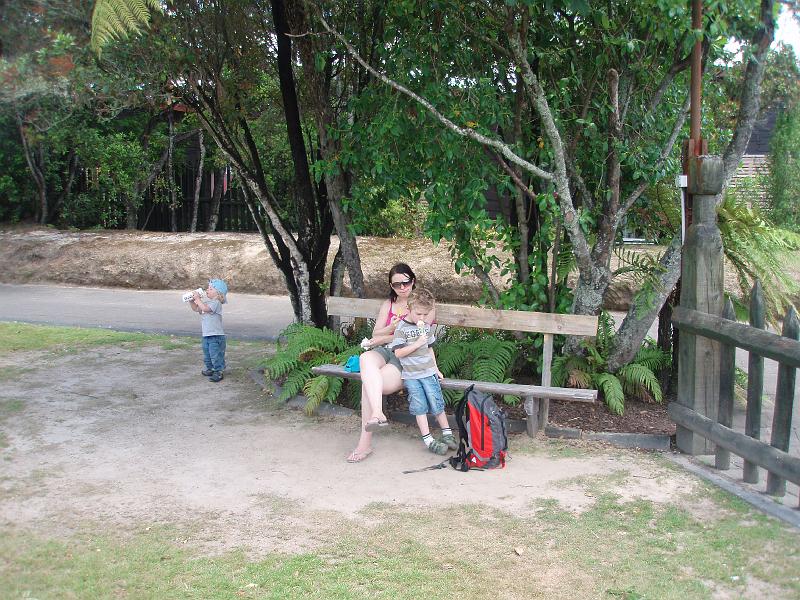 P1020234.JPG