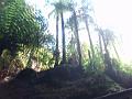 P1010164
