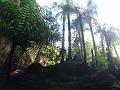 P1010165