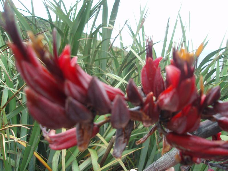 PC160049.JPG