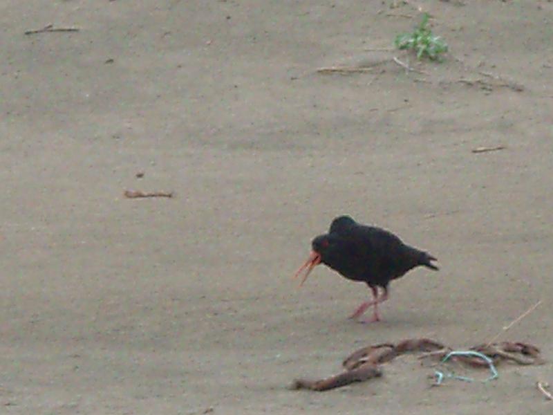 PC160058.JPG