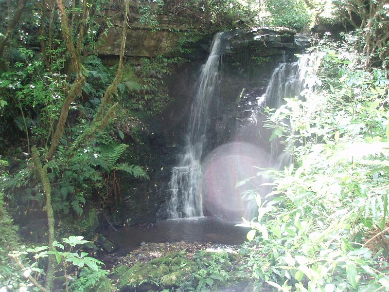 PC170140.JPG