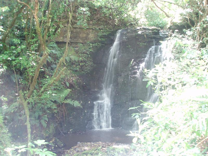 PC170142.JPG