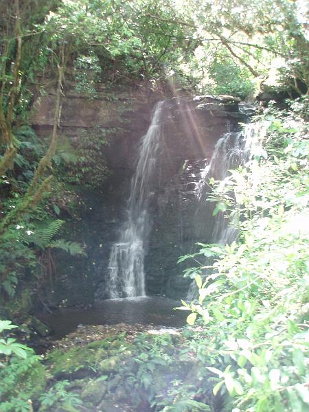 PC170143.JPG