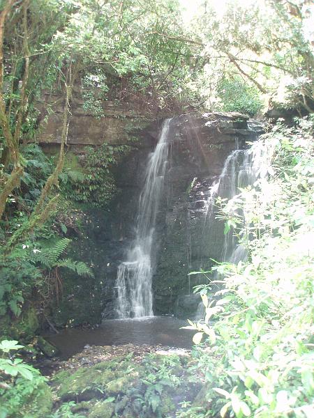 PC170144.JPG
