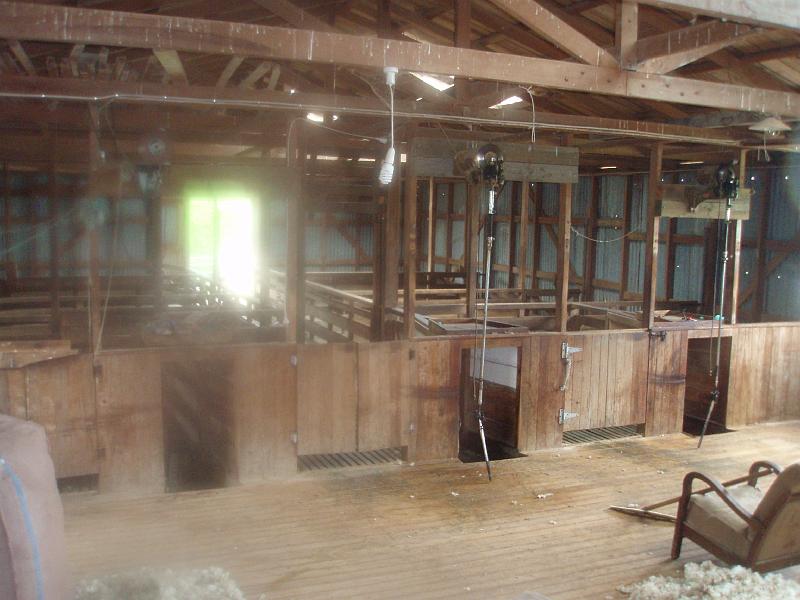 PC180165.JPG