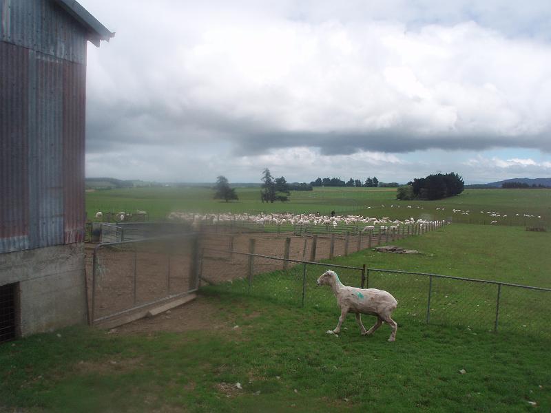 PC180169.JPG